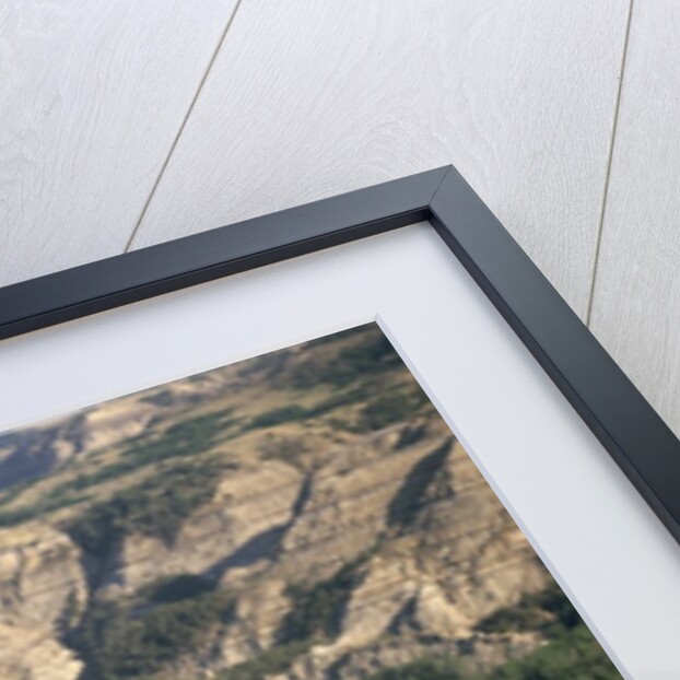 Badlands and Little Missouri River by Anonymous