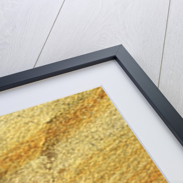 Fossil Fish by Anonymous