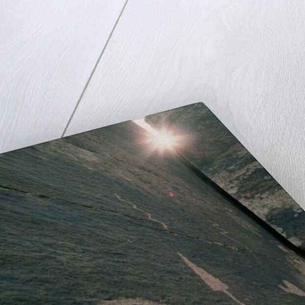 Indian Petroglyphs by Anonymous