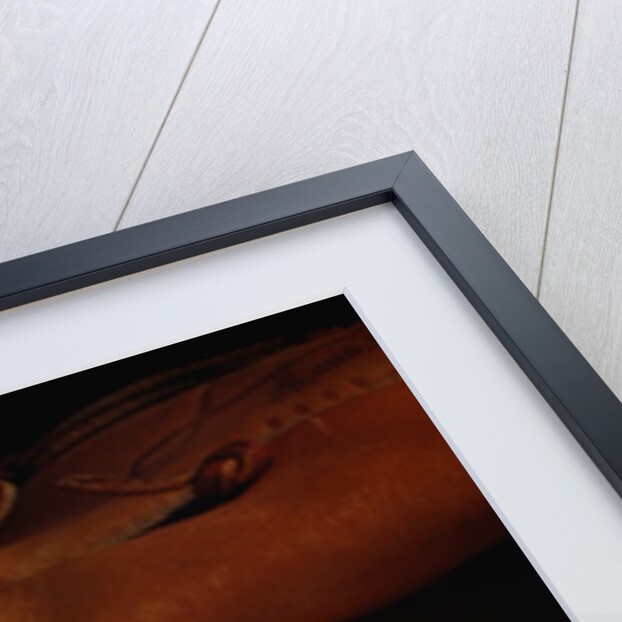 Baseball and a Pitcher's Mitt by Anonymous