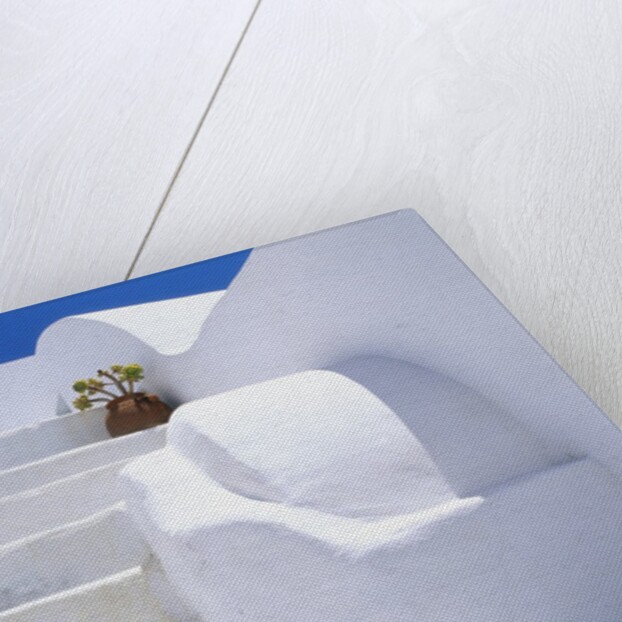 Potted Flowers On Staircase by Anonymous