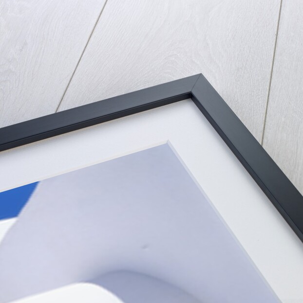 Potted Flowers On Staircase by Anonymous
