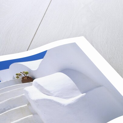 Potted Flowers On Staircase by Anonymous