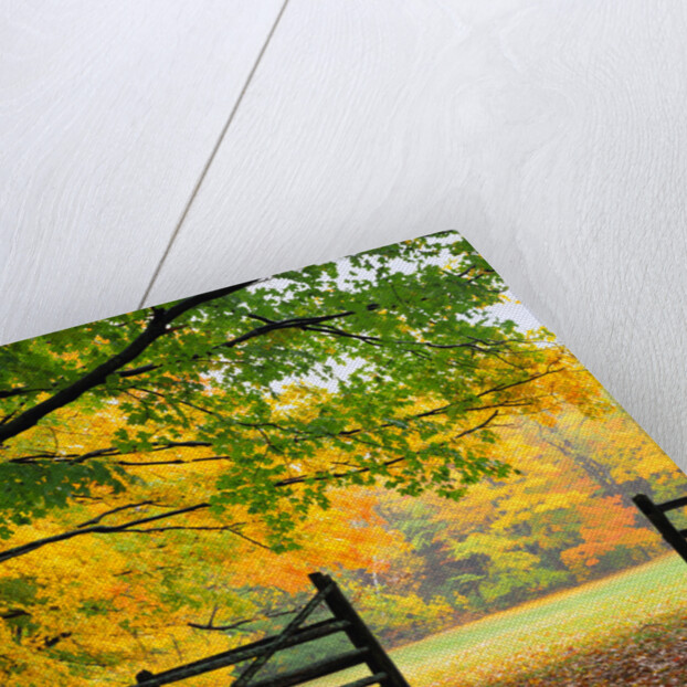 Fall Foliage Surrounds an Open Gate by Anonymous