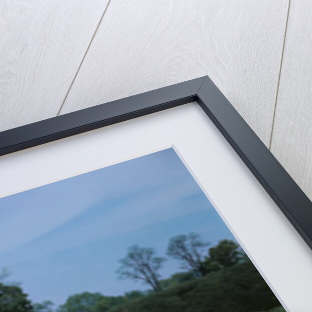 View of Franklin D. Roosevelt's Tombstone by Anonymous