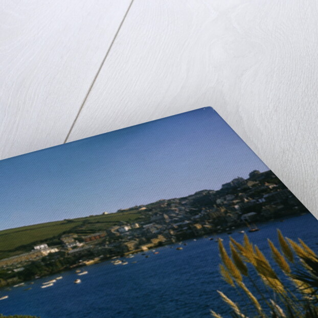View of Pohnan-by-Fowey by Anonymous