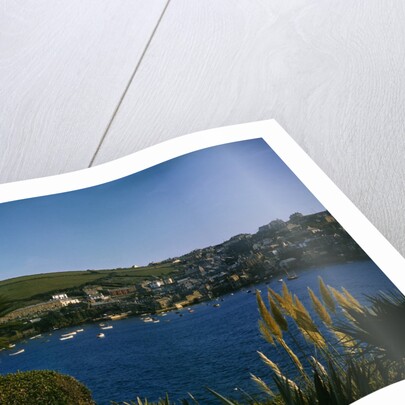 View of Pohnan-by-Fowey by Anonymous