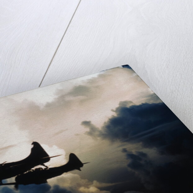 US Navy SBD Dauntless Dive Bombers in Flight by Anonymous