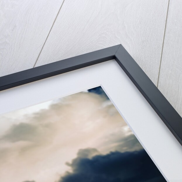 US Navy SBD Dauntless Dive Bombers in Flight by Anonymous