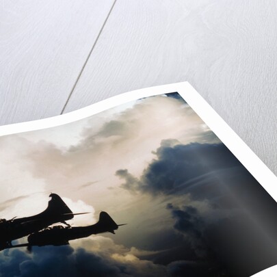 US Navy SBD Dauntless Dive Bombers in Flight by Anonymous