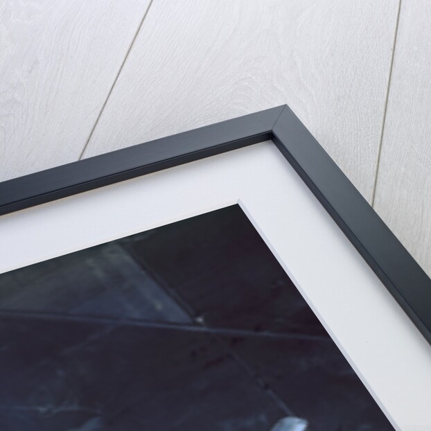 USAF B-29 Superfortress Bomber in Flight by Anonymous