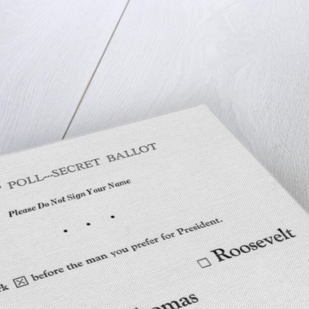 View of Secret Ballot by Anonymous