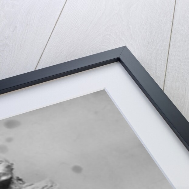 The Mummy of King Ramses by Anonymous