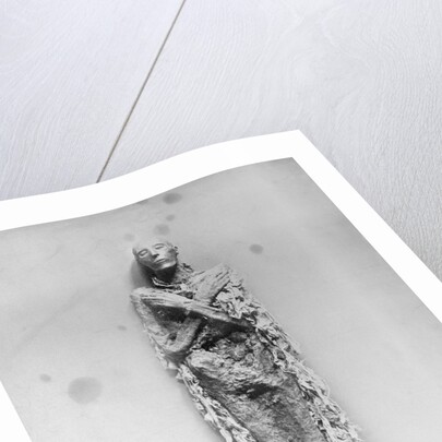 The Mummy of King Ramses by Anonymous