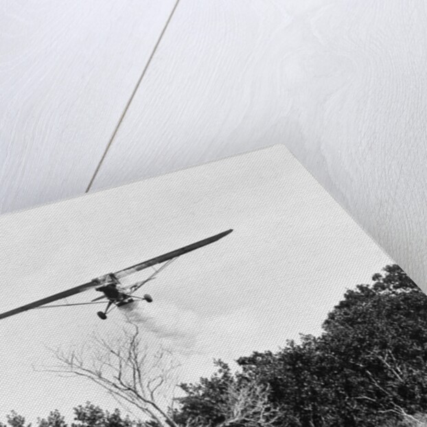 Airplane Dropping Cloud of Mosquito Insecticide by Anonymous