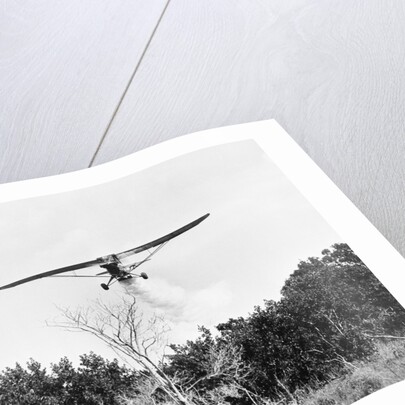 Airplane Dropping Cloud of Mosquito Insecticide by Anonymous
