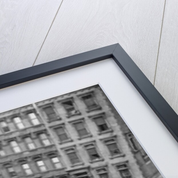 Crowds Watching Police Searching Collyer Mansion by Anonymous