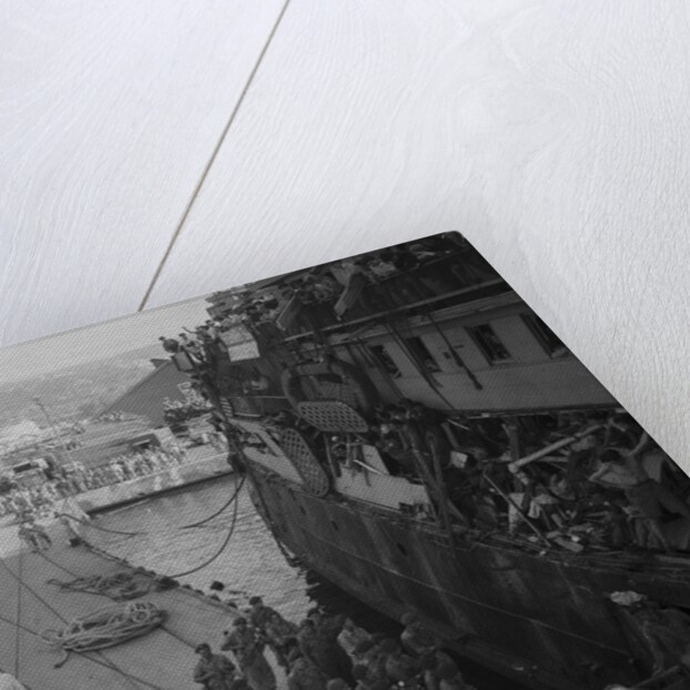 Vladimir Simic and Emil Sandstroem by Anonymous