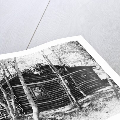 Exterior View of a Log Cabin by Anonymous