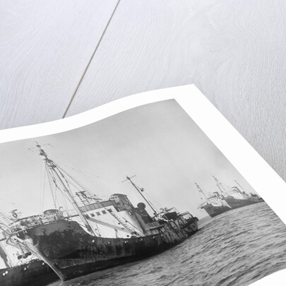 Onassis Whalers Seized by Anonymous