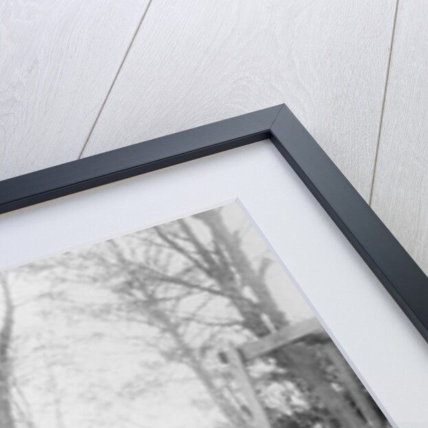 Water Pump at Helen Keller's Birthplace by Anonymous