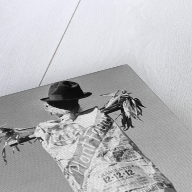 Scarecrow by Anonymous