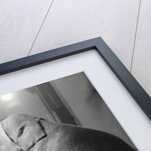 Elephant Watching Television by Anonymous