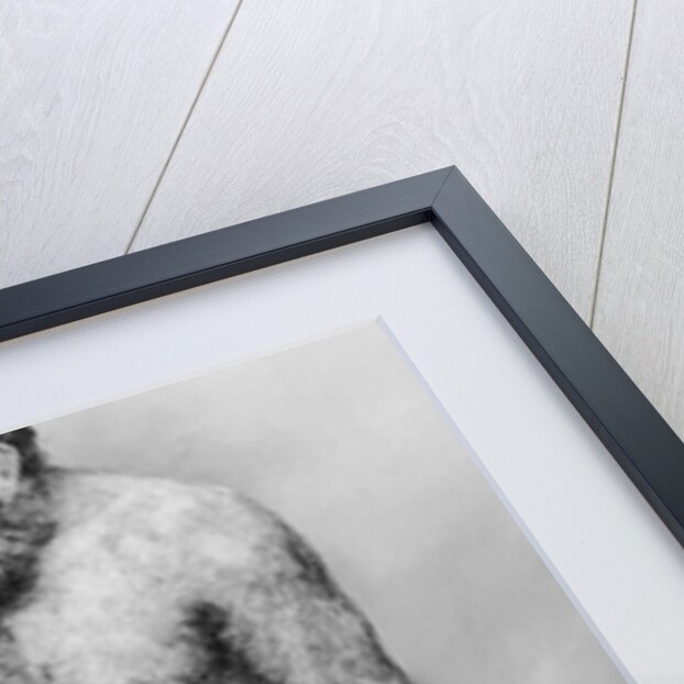 Cave Man by Anonymous