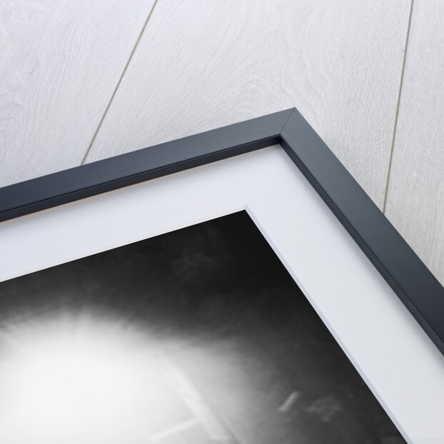 Donora Smog of 1948 by Anonymous