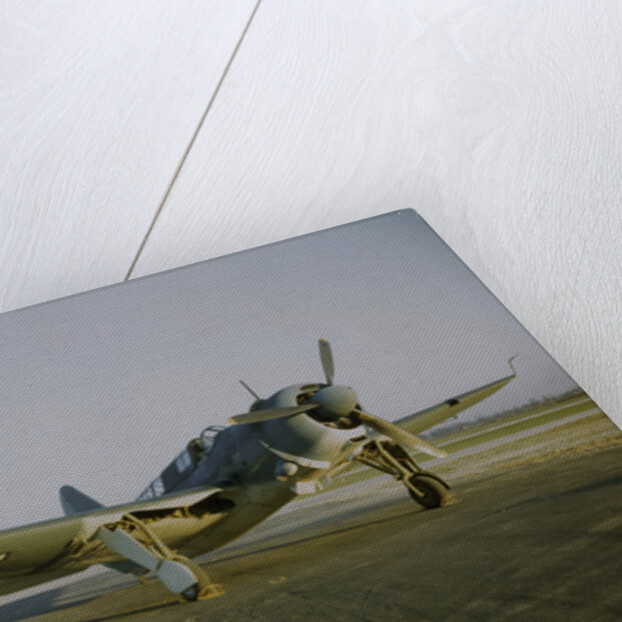 Navy Curtiss-Wright SB2C Helldiver on a Tarmac by Anonymous