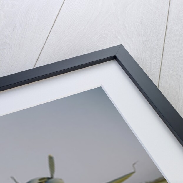 Navy Curtiss-Wright SB2C Helldiver on a Tarmac by Anonymous