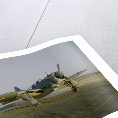 Navy Curtiss-Wright SB2C Helldiver on a Tarmac by Anonymous