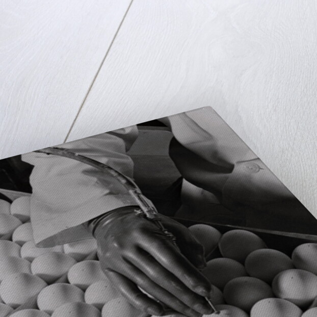 Close Up of Eggs Being Drilled for Flu Research by Anonymous