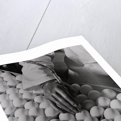 Close Up of Eggs Being Drilled for Flu Research by Anonymous