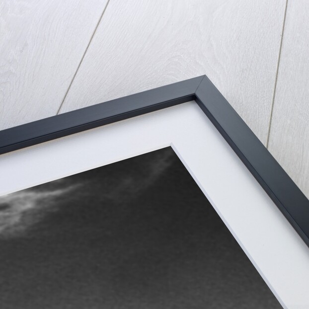 UFO Flying Over New Mexico by Anonymous