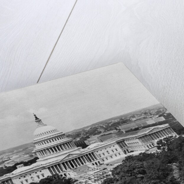 View of Capital Hill by Anonymous