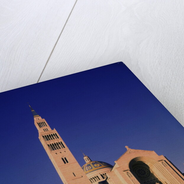 National Shrine of the Immaculate Conception Church by Anonymous