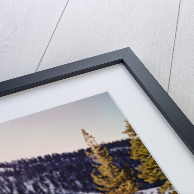 Squaw Valley's Blyth Arena by Anonymous