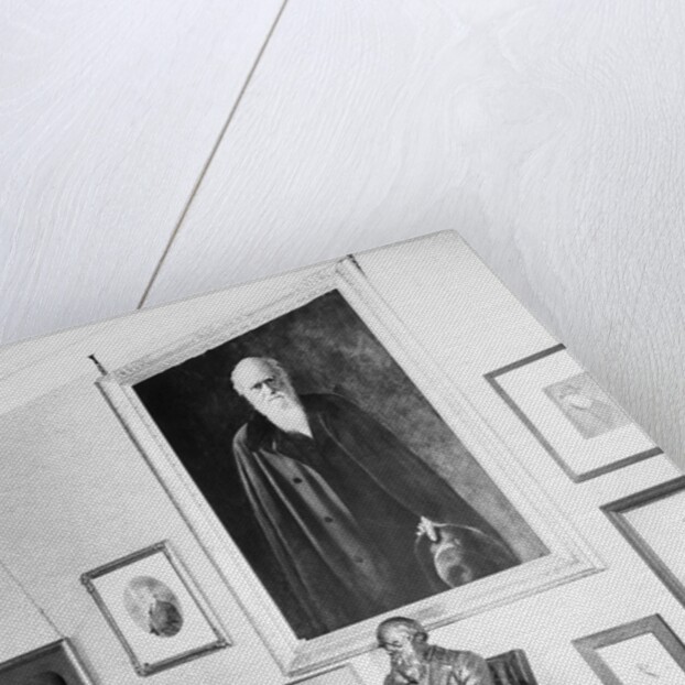 Statue and Painting of Charles Darwin by Anonymous