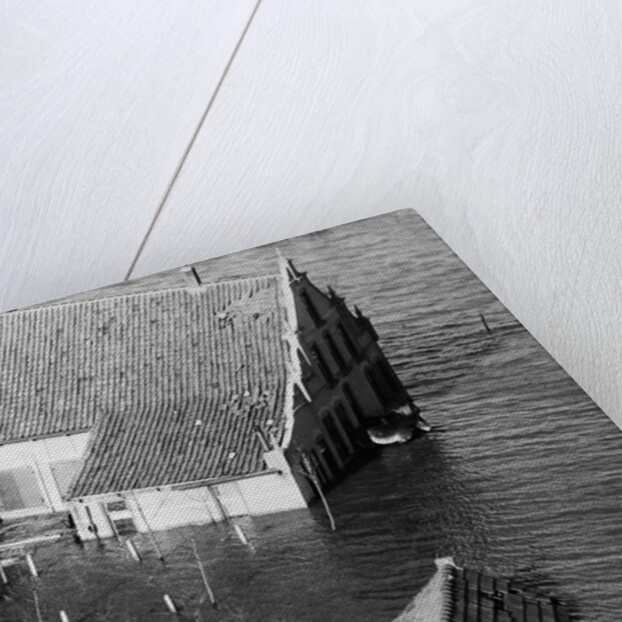 Animal Standing by House Submerged in Flood Waters by Anonymous