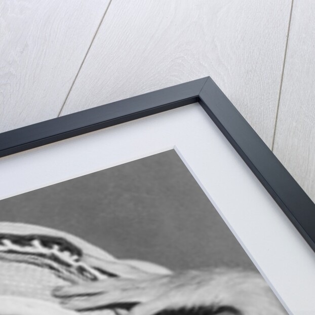 Miss Sam Wearing Space Gear by Anonymous