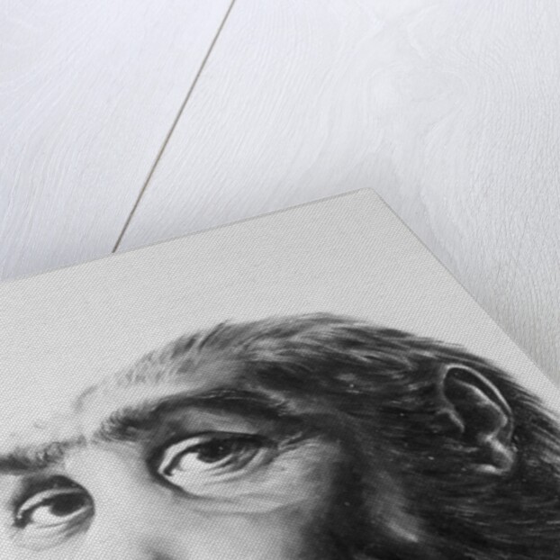 Artist's Recreation of Prehistoric Man's Head by Anonymous