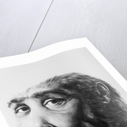 Artist's Recreation of Prehistoric Man's Head by Anonymous
