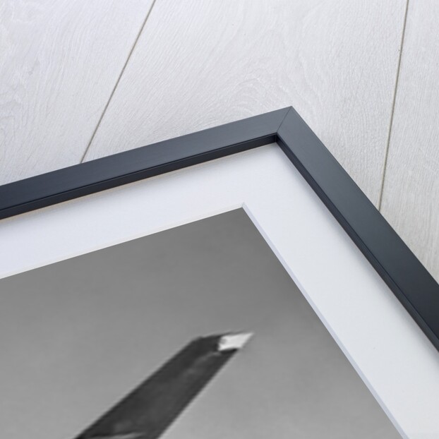 Boeing 707 Airplane by Anonymous