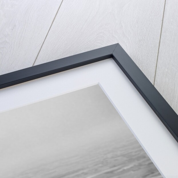 Douglas DC-3 Plane in Flight by Anonymous