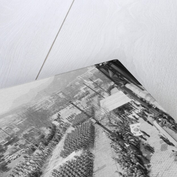 Aerial View of a Military Parade by Anonymous