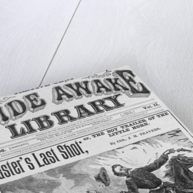 Cover of The Wide Awake Library by Anonymous