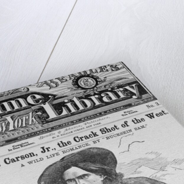 Cover of Beadle's Dime New York Library by Anonymous