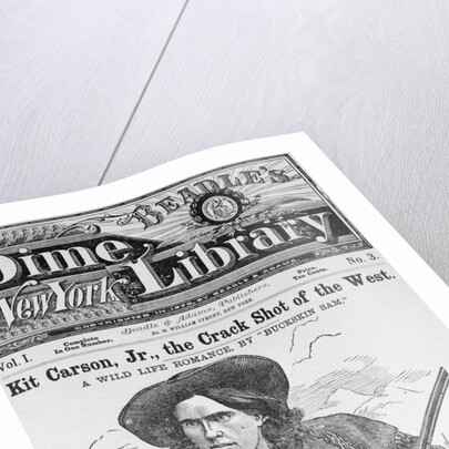 Cover of Beadle's Dime New York Library by Anonymous