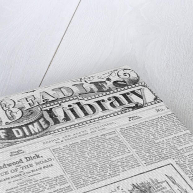 Cover of Beadle's Half Dime Library by Anonymous